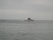 Missys Catalina 2005 00339.jpg: 2005/07/25 Heinekin's Catalina Pics - 2005